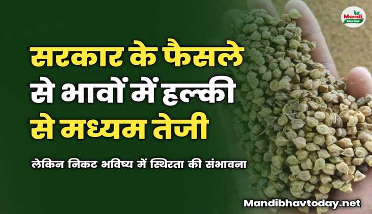 सरकार के फैसले से भावों में हल्की से मध्यम तेजी | लेकिन निकट भविष्य में स्थिरता की संभावना