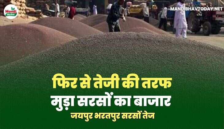 सरसों IMAGE