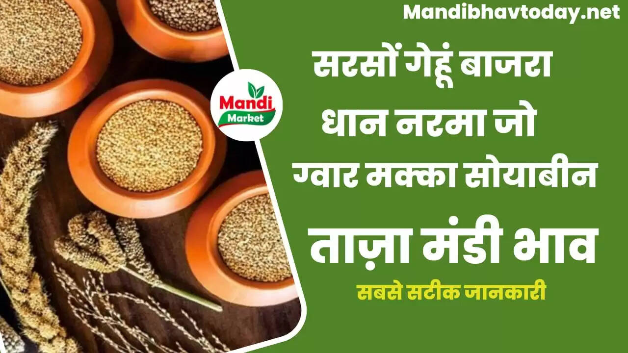 aaj ka mandi bhav