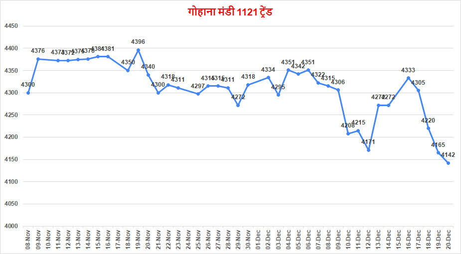 आज बासमती बाजार में दिखा 50 रूपये तक का जोश | देखे क्या लगे आज धान में टॉप भाव