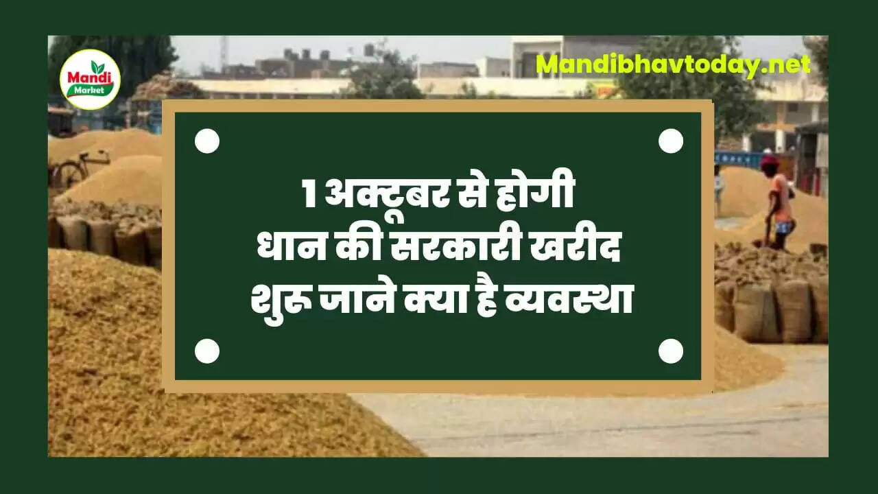 1 oct se hogi dhan ki kharid