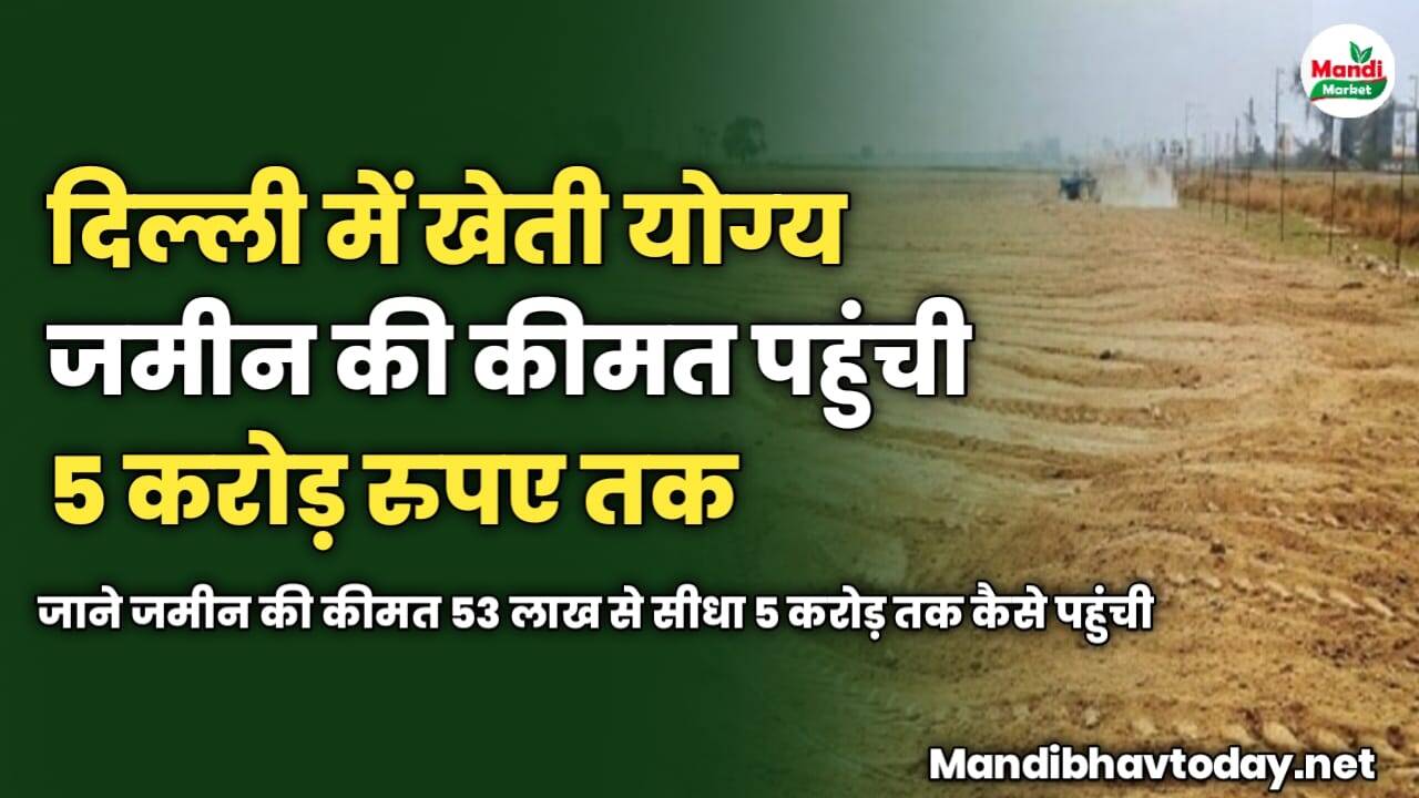 दिल्ली में खेती योग्य जमीन की कीमत पहुंची 5 करोड़ रुपए तक | जाने जमीन की कीमत 53 लाख से सीधा 5 करोड़ तक कैसे पहुंची