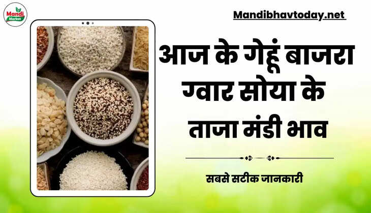 Aaj ke anaj mandi bhav 05 Jan 23