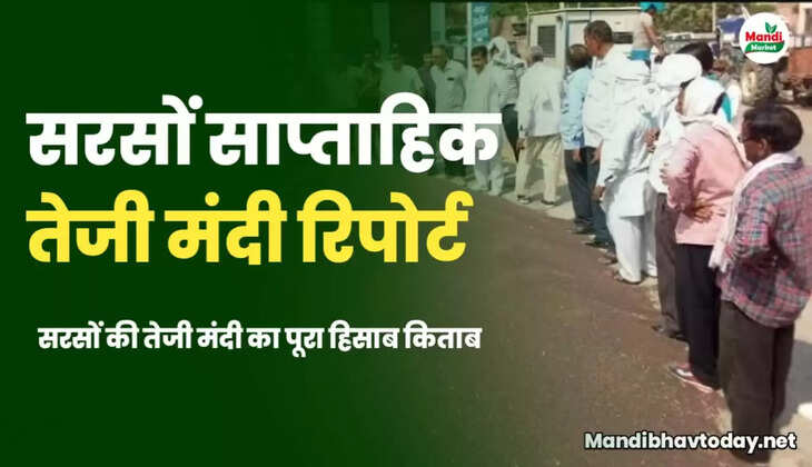 weekly mustard report