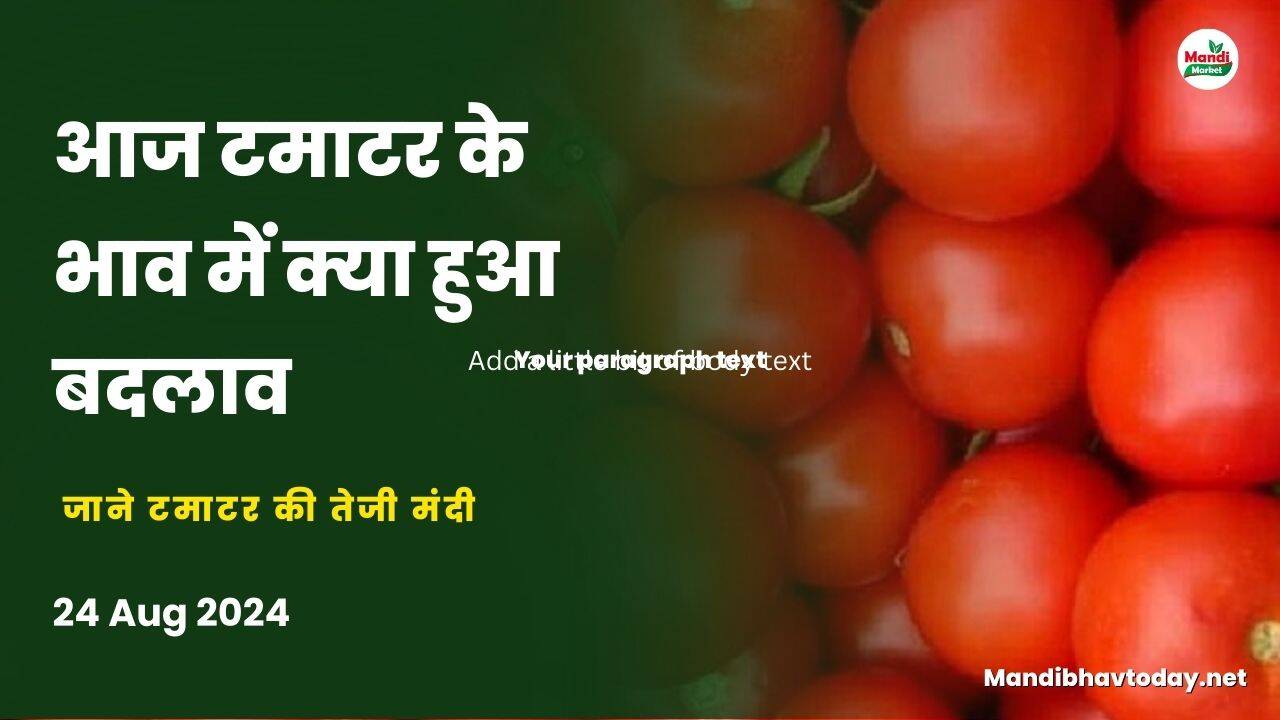 जाने टमाटर की तेजी मंदी