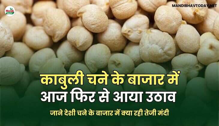 जाने देशी चने के बाजार में क्या रही तेजी मंदी