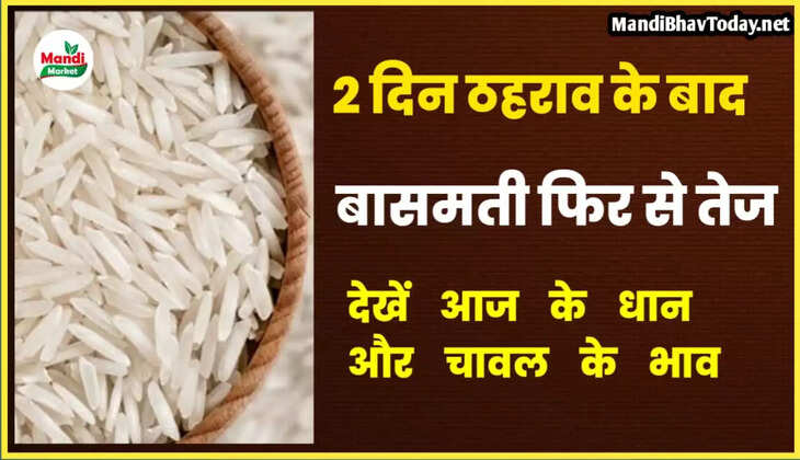 basmati rate 