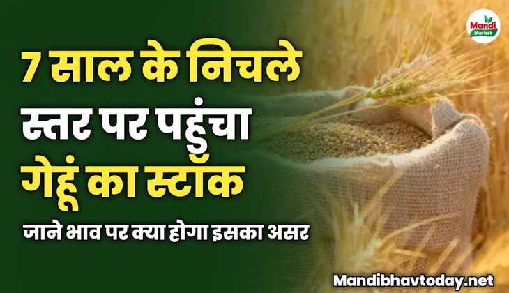 7 साल के निचले स्तर पर पहुंचा गेहूं का स्टॉक | जाने भाव पर क्या होगा इसका असर