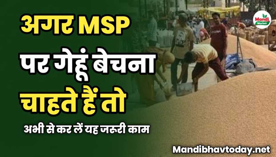 अगर MSP पर गेहूं बेचना चाहते हैं तो अभी से कर लें यह जरूरी काम