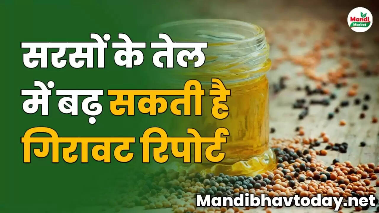 सरसों के तेल में बढ़ सकती है गिरावट | रिपोर्ट