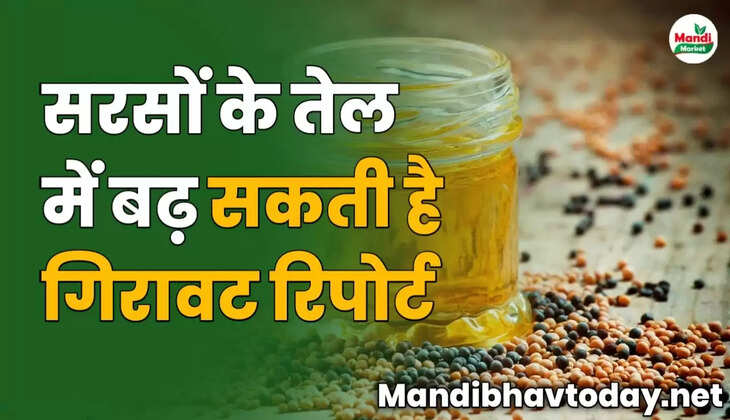 सरसों के तेल में बढ़ सकती है गिरावट | रिपोर्ट 