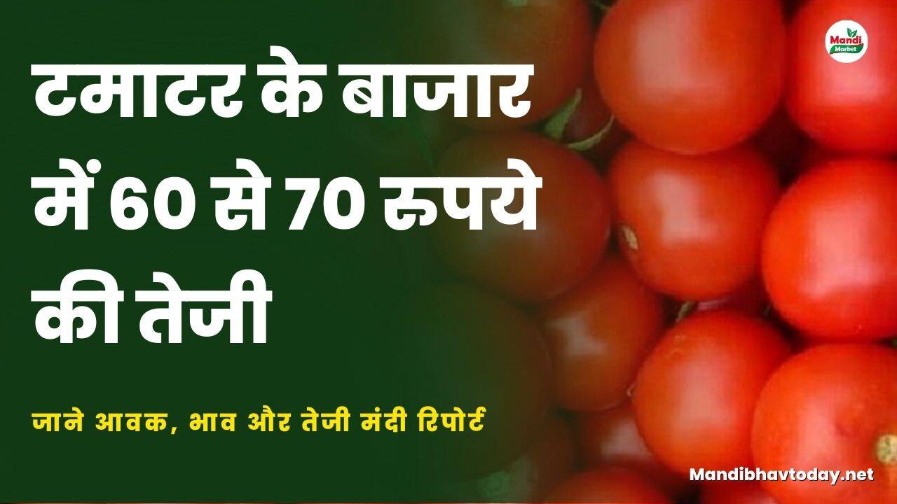 जाने आवक, भाव और तेजी मंदी रिपोर्ट