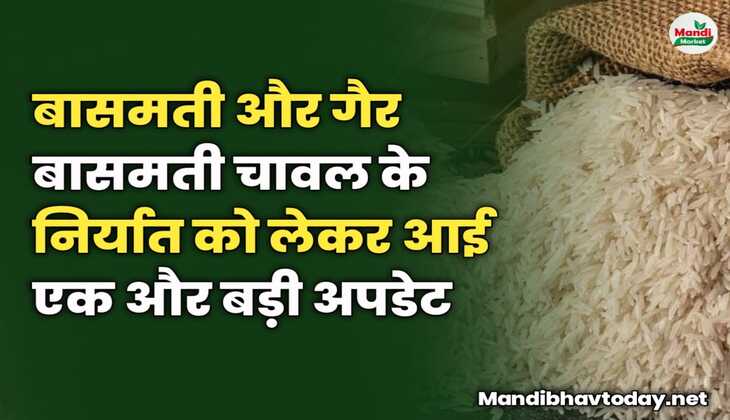 बासमती और गैर बासमती चावल के निर्यात को लेकर एक और बड़ी अपडेट