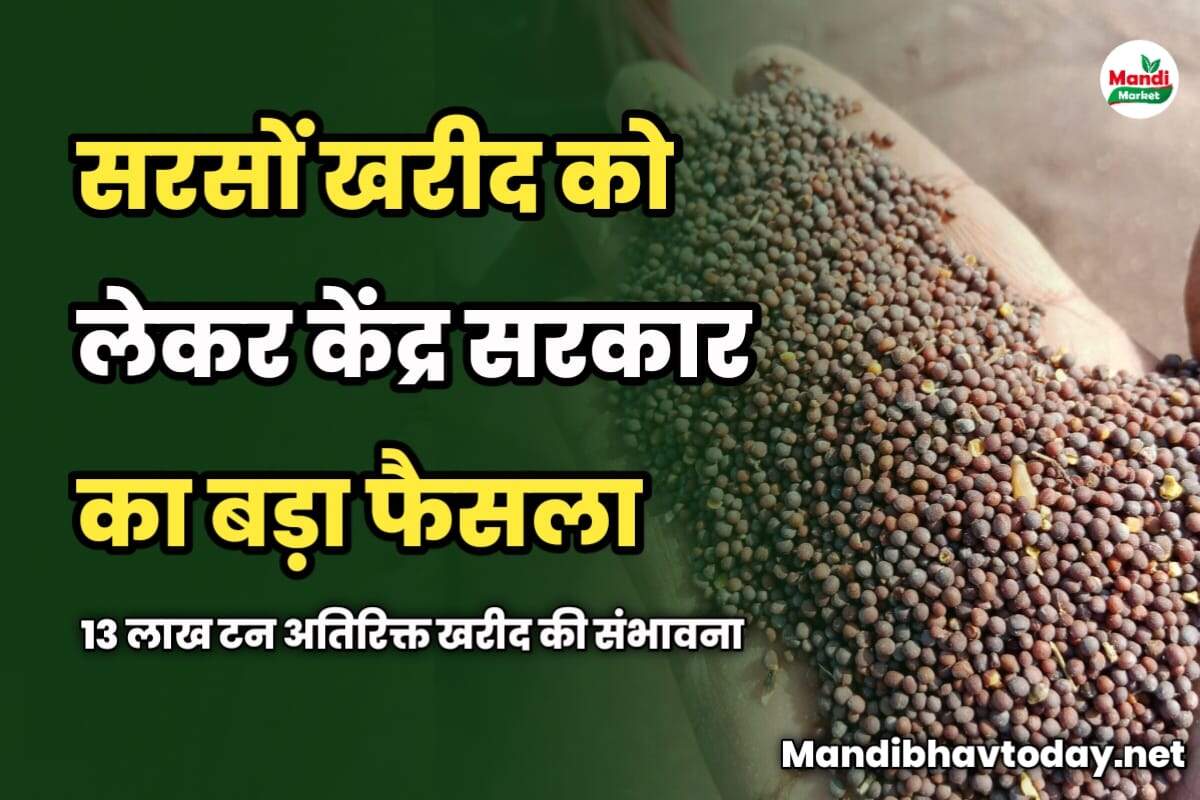 सरसों खरीद को लेकर केंद्र सरकार का बड़ा फैसला | 13 लाख टन अतिरिक्त खरीद की संभावना