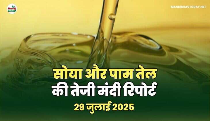 सोया और पाम TEL