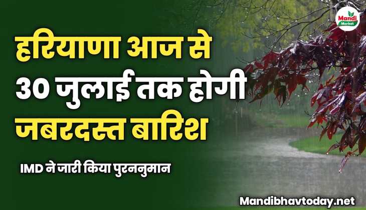 हरियाणा आज से 30 जुलाई तक होगी जबरदस्त बारिश | IMD ने जारी किया पुरननुमान