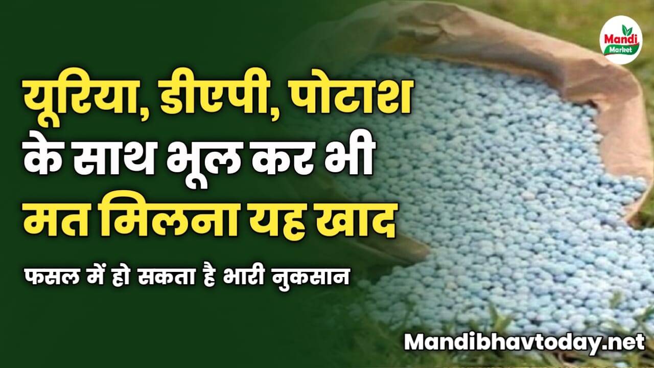 यूरिया, डीएपी, पोटाश के साथ भूल कर भी मत मिलाएं यह खाद | फसल में हो सकता है भारी नुकसान।