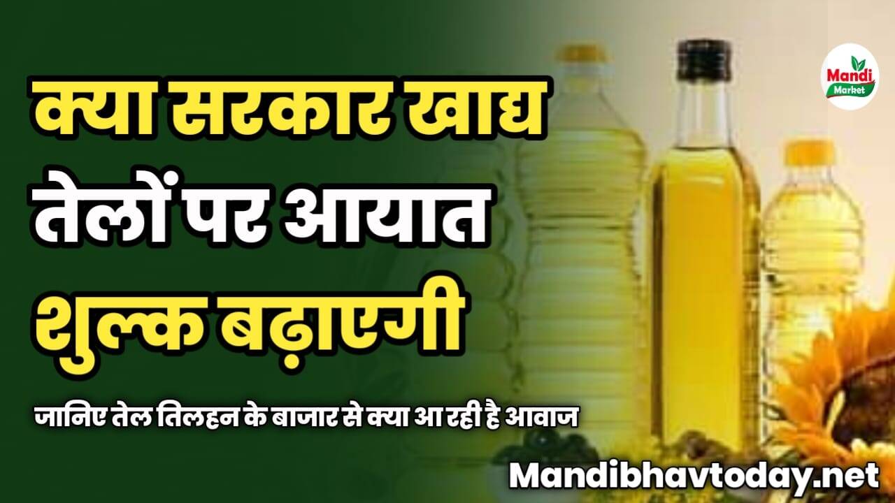 क्या सरकार खाद्य तेलों पर आयात शुल्क बढ़ाएगी | जानिए तेल तिलहन के बाजार से क्या आ रही है आवाज