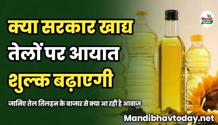 क्या सरकार खाद्य तेलों पर आयात शुल्क बढ़ाएगी | जानिए तेल तिलहन के बाजार से क्या आ रही है आवाज