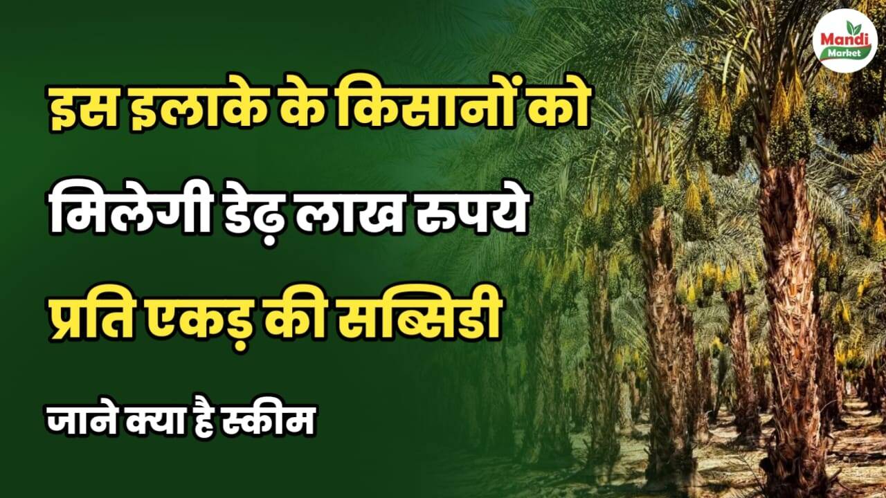 इस इलाके के किसानों को मिलेगी डेढ़ लाख रुपये प्रति एकड़ की सब्सिडी | जानें क्या है स्कीम
