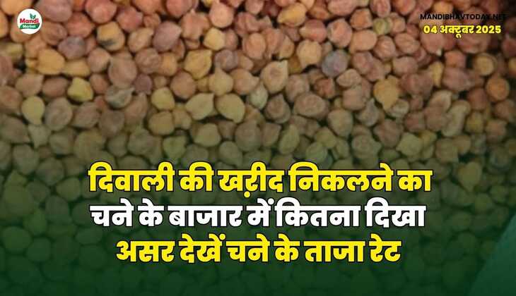 दिवाली की खऱीद निकलने का चने के बाजार में कितना दिखा असर | देखें चने के ताजा रेट
