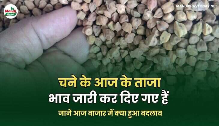  जाने आज बाजार में क्या हुआ बदलाव