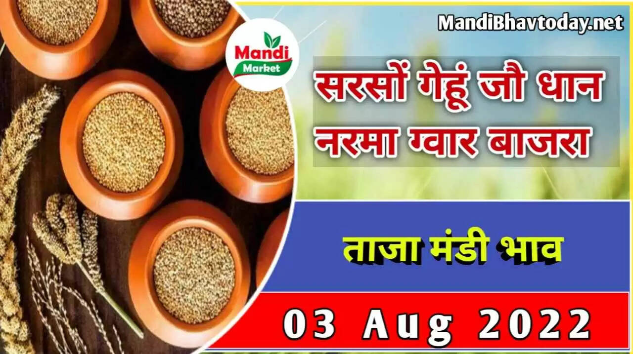 mandi bhav