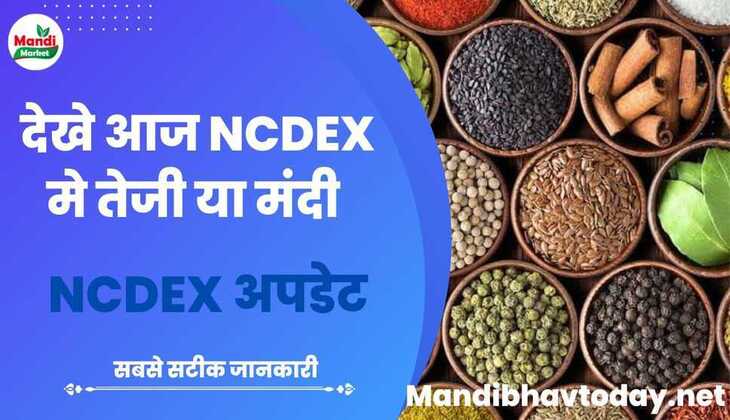 देखे आज NCDEX में क्या हल चल है | वायदा कारोबार अपडेट 02 फरवरी 2024