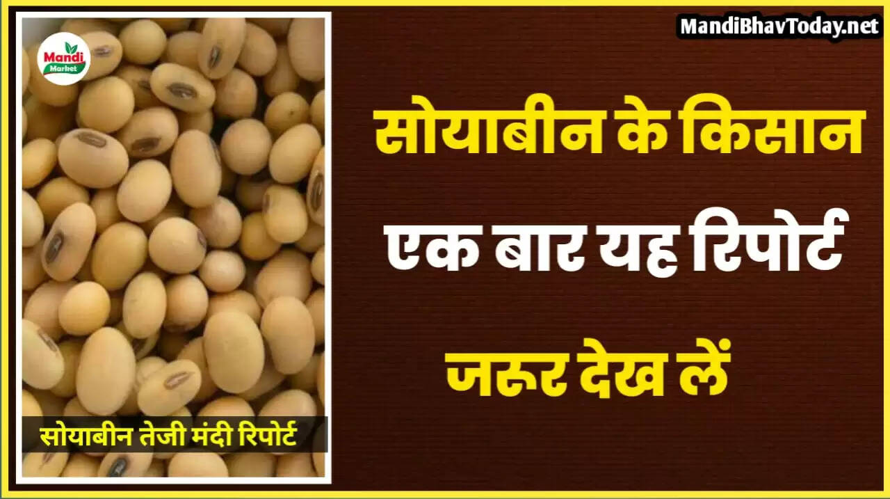 soyabean rate today