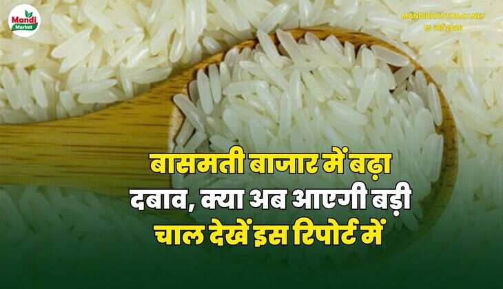 MANDI