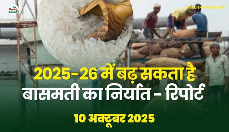 2025-26 में बढ़ सकता है बासमती का निर्यात - रिपोर्ट