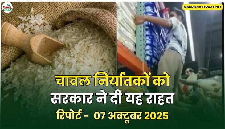 चावल निर्यातकों को सरकार ने दी यह राहत