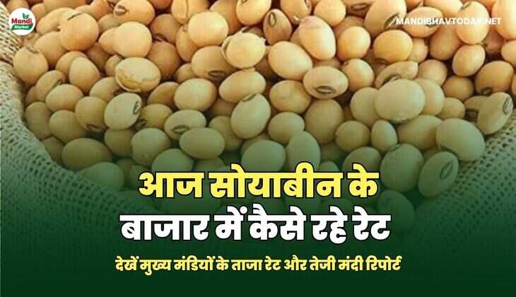 आज सोयाबीन के बाजार  