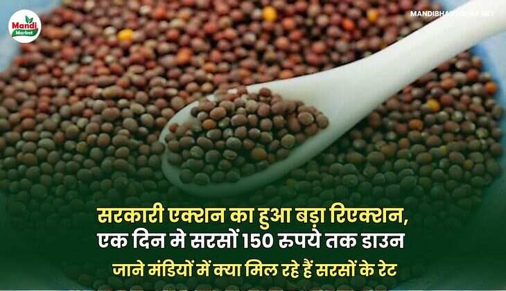 सरसों इमेज 