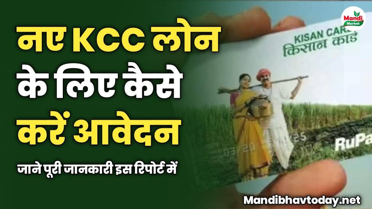 नए KCC लोन के लिए कैसे करें आवेदन | जाने पूरी जानकारी इस रिपोर्ट में