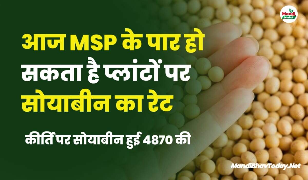 आज MSP के पार हो सकता है प्लांटों पर सोयाबीन का रेट | जाने किस मंडी में कितनी तेज हुई सोयाबीन