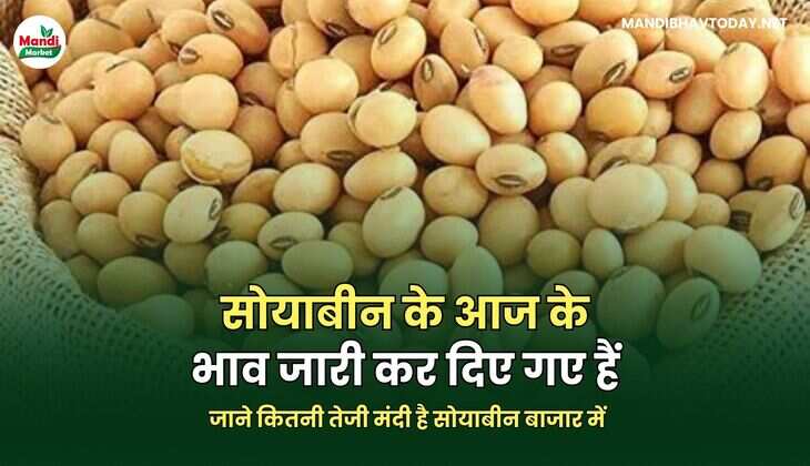SOYABEAN