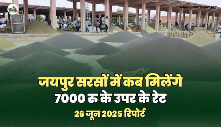 सरसों images