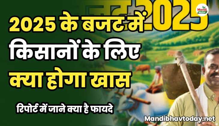2025 के बजट में किसानों के लिए क्या होगा खास | रिपोर्ट में जाने