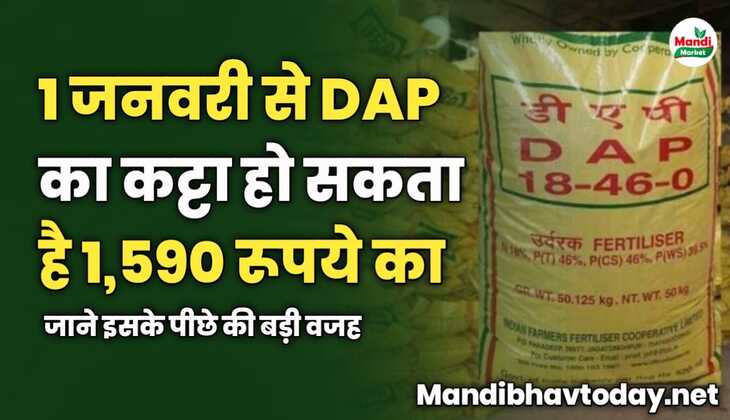 1 जनवरी से DAP का कट्टा हो सकता है 1590 रूपये का | जाने इसके पीछे की बड़ी वजह 