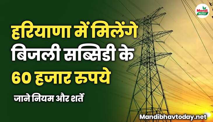 हरियाणा में मिलेंगे बिजली सब्सिडी के 60 हजार रुपये | जाने नियम और शर्तें
