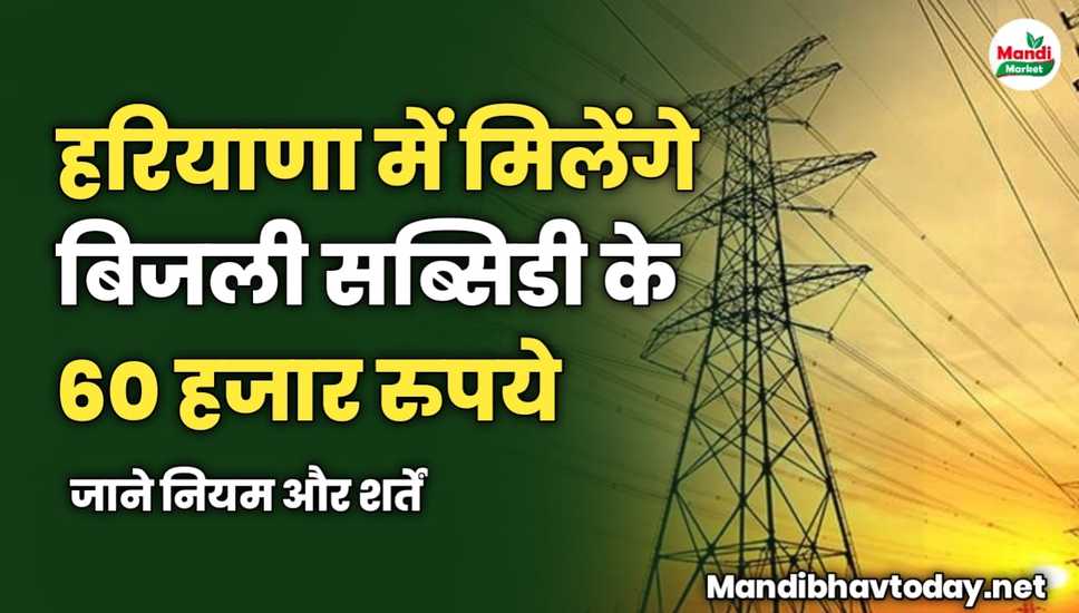 हरियाणा में मिलेंगे बिजली सब्सिडी के 60 हजार रुपये | जाने नियम और शर्तें