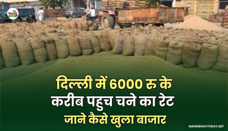 दिल्ली में 6000 के करीब पहुच चने का रेट  | जाने कैसे खुला बाजार 