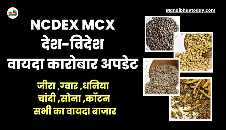 ग्वार में तेजी कायम | देखें आज के देश-विदेश की वायदा कारोबार की अपडेट 08 अगस्त 2023