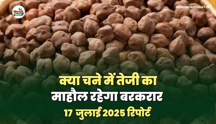  चने रिपोर्ट