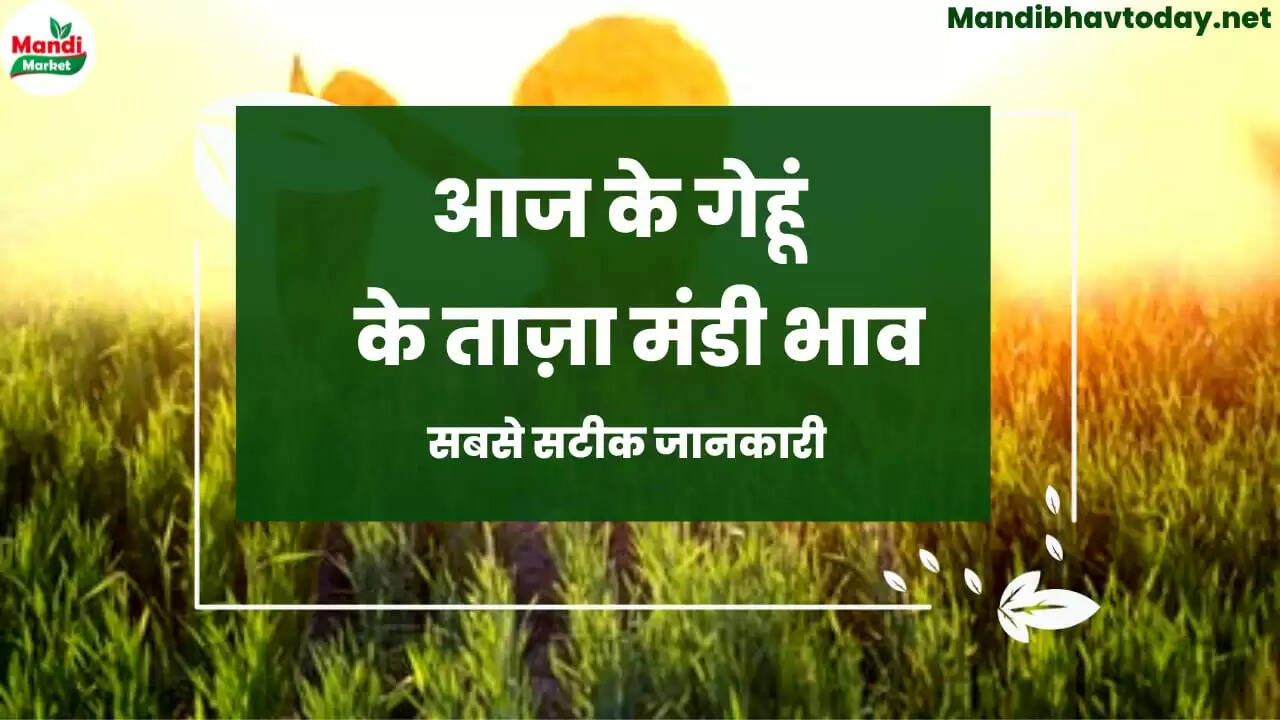 gehu ka rate