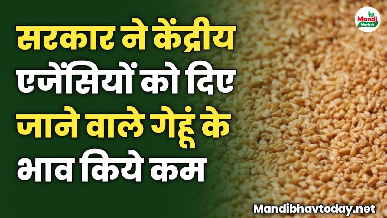 सरकार ने केंद्रीय एजेंसियों को दिए जाने वाले गेहूं के भाव किये कम | जाने पूरी खबर क्या है