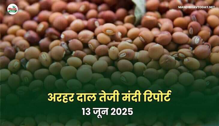 अरहर image