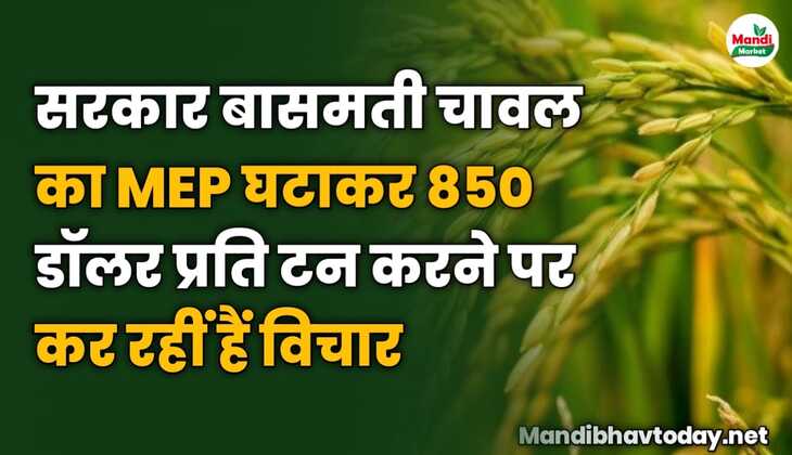 सरकार बासमती चावल का MEP घटाकर 850 डॉलर प्रति टन करने पर कर रहीं हैं विचार