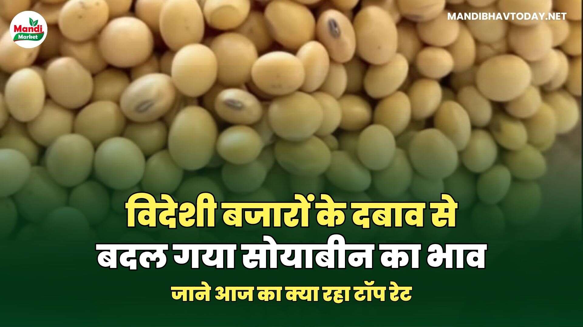 सोयाबीन मंडी